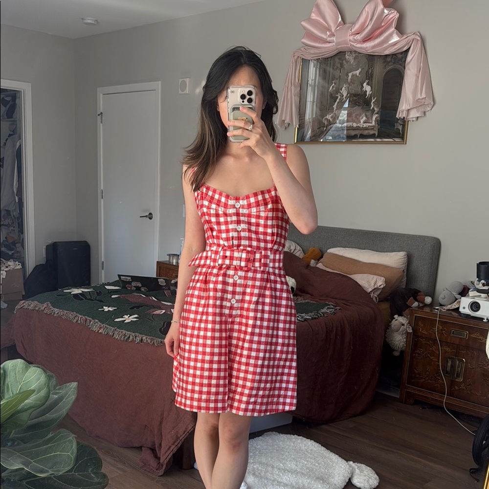 EUC D&G picnic print silk cotton blend belted sun dress